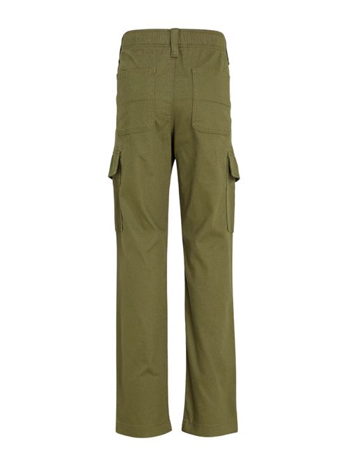 Pantalone uomo verde in cotone Tommy Jeans | DM0DM20284M12